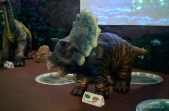 ЗА НОВЫМИ ЗНАНИЯМИ - В ВИЗИТ-ЦЕНТР! ЗА НОВЫМИ ЗНАНИЯМИ - В ВИЗИТ-ЦЕНТР!