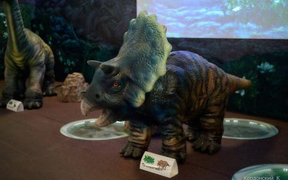 ЗА НОВЫМИ ЗНАНИЯМИ — В ВИЗИТ-ЦЕНТР!