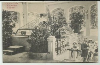 НАРЗАННЫЕ НИМФЫ