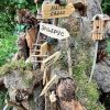 НОВЫЕ ПРИКЛЮЧЕНИЯ ПАРКЛИКОВ