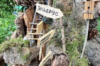 НОВЫЕ ПРИКЛЮЧЕНИЯ ПАРКЛИКОВ