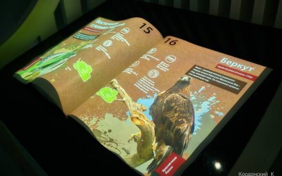 МУЗЕЙ ПАРКА — ЭТО МОДНО! ⠀