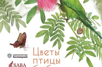 ЦВЕТЫ, ПТИЦЫ, БАБОЧКИ…