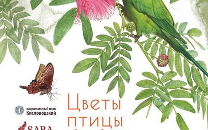 ЦВЕТЫ, ПТИЦЫ, БАБОЧКИ…