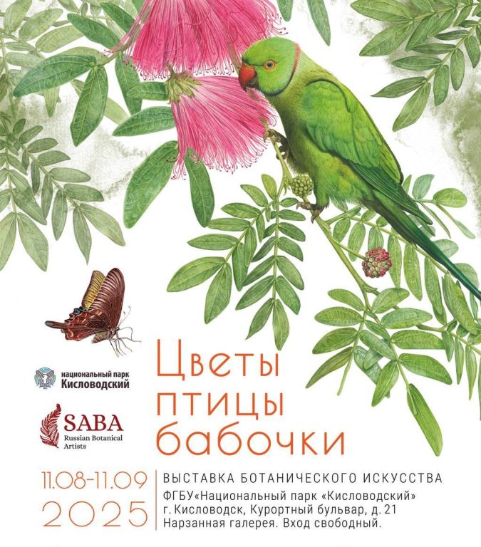 ЦВЕТЫ, ПТИЦЫ, БАБОЧКИ…