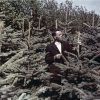 ДЕНЬ РАБОТНИКОВ ЛЕСА