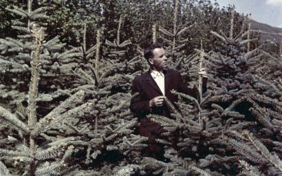 ДЕНЬ РАБОТНИКОВ ЛЕСА