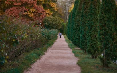 ВСЕМИРНЫЙ ДЕНЬ БЕЗ АВТОМОБИЛЯ