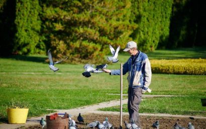 ВСТРЕЧАЙТЕ НОВИЧКОВ В ДОЛИНЕ РОЗ!