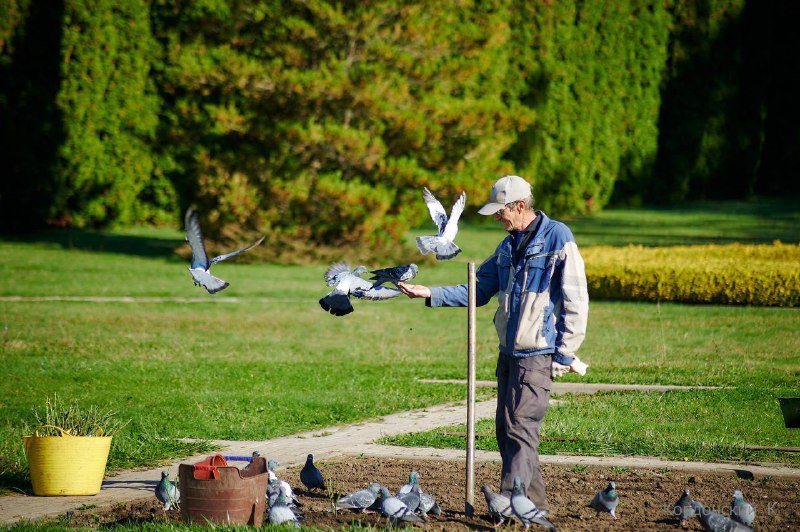 ВСТРЕЧАЙТЕ НОВИЧКОВ В ДОЛИНЕ РОЗ!