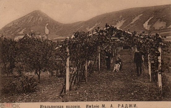 Вино a-la Rus: история виноделия в России и на Кавказских Минеральных Водах