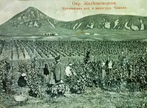 Вино a-la Rus: история виноделия в России и на Кавказских Минеральных Водах