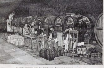 Вино a-la Rus: история виноделия в России и на Кавказских Минеральных Водах