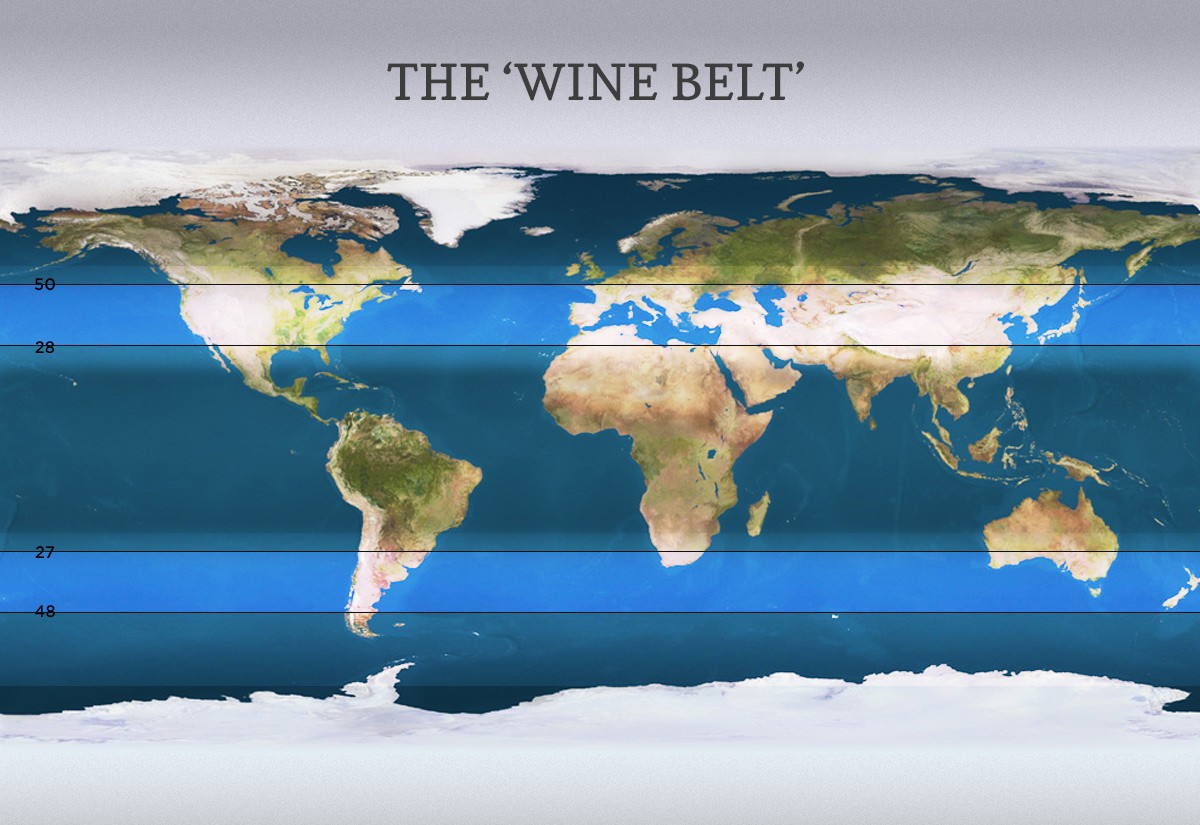 Вино a-la Rus: история виноделия в России и на Кавказских Минеральных Водах