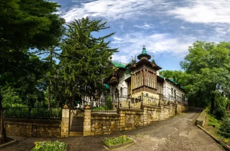 Помнит Шаляпина ель вековая: Дерево года, растущее в Кисловодске Помнит Шаляпина ель вековая: Дерево года, растущее в Кисловодске