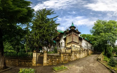 Помнит Шаляпина ель вековая: Дерево года, растущее в Кисловодске