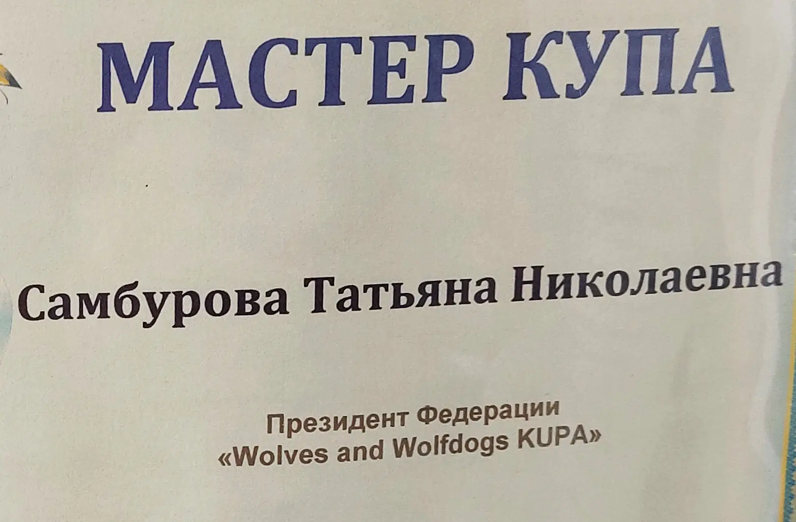 Трудное счастье – жить рядом с волками: спецкор "Нашего Кисловодска" съездил в гости к основательнице питомника для волков
