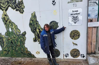 Трудное счастье – жить рядом с волками: спецкор "Нашего Кисловодска" съездил в гости к основательнице питомника для волков Трудное счастье – жить рядом с волками: спецкор "Нашего Кисловодска" съездил в гости к основательнице питомника для волков