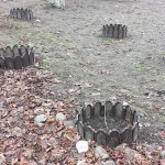 Добрая фея кисловодского двора Добрая фея кисловодского двора