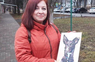 Портрет собачки уедет в Москву, а брошь с образом Винсента ван Гога – в Иркутск: история художницы из Кисловодска Портрет собачки уедет в Москву, а брошь с образом Винсента ван Гога – в Иркутск: история художницы из Кисловодска