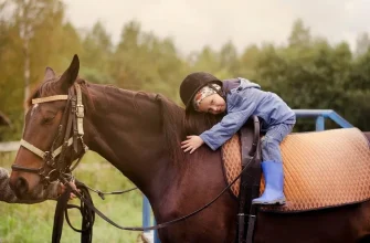 В ритме дикой грации: Год Лошади, иппотерапия в Ессентуках и любовь к животным В ритме дикой грации: Год Лошади, иппотерапия в Ессентуках и любовь к животным