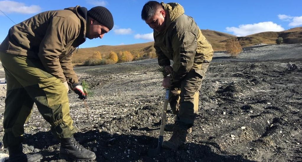 10 тысяч вопросов: как в Кисловодске предпочитают не вспоминать провал с самой масштабной высадкой деревьев