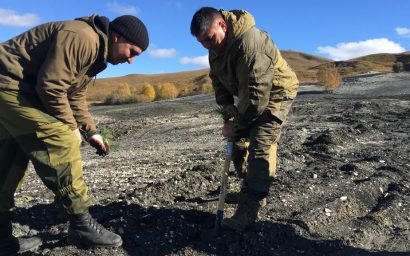 10 тысяч вопросов: как в Кисловодске предпочитают не вспоминать провал с самой масштабной высадкой деревьев